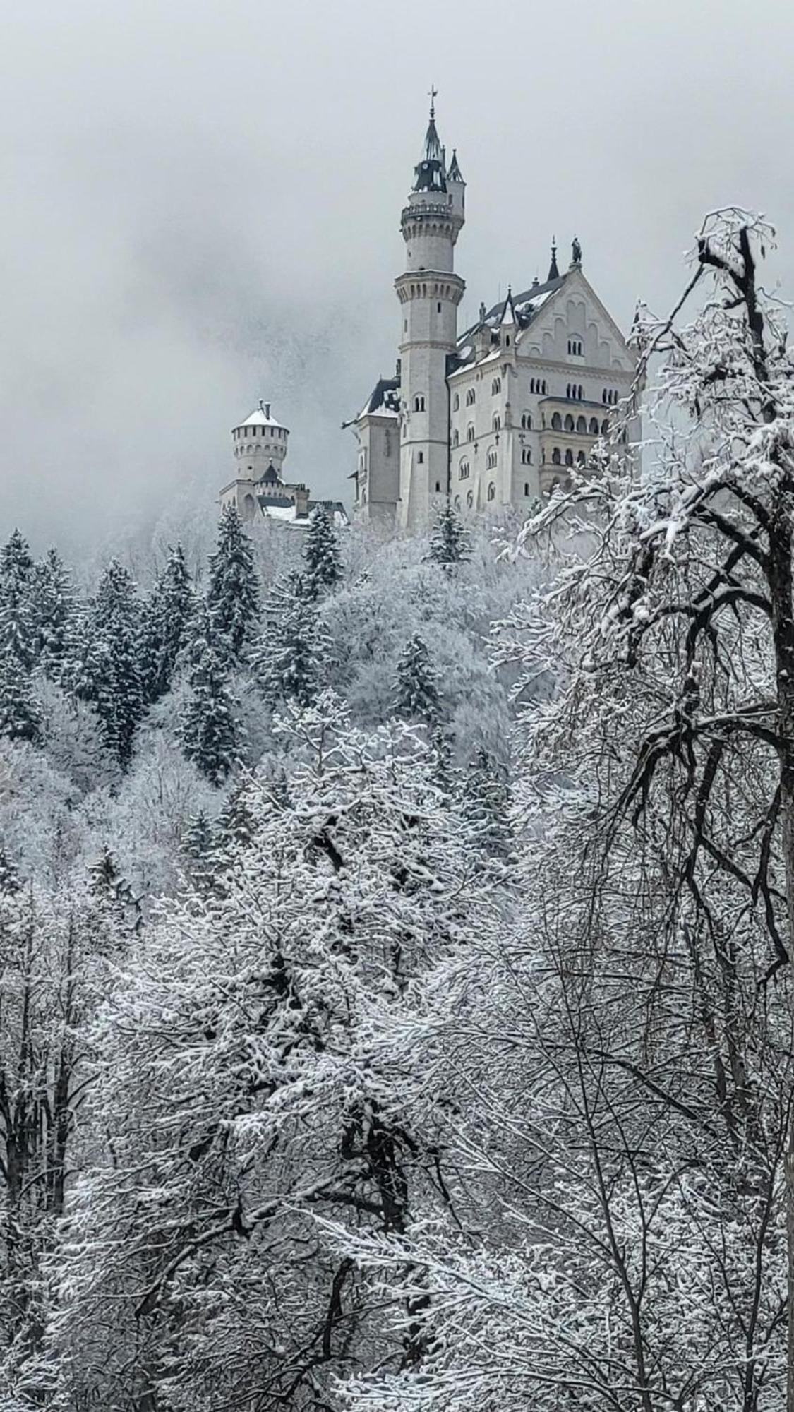 House La Neuschwanstein Blick - Budget City Hotel Füssen المظهر الخارجي الصورة