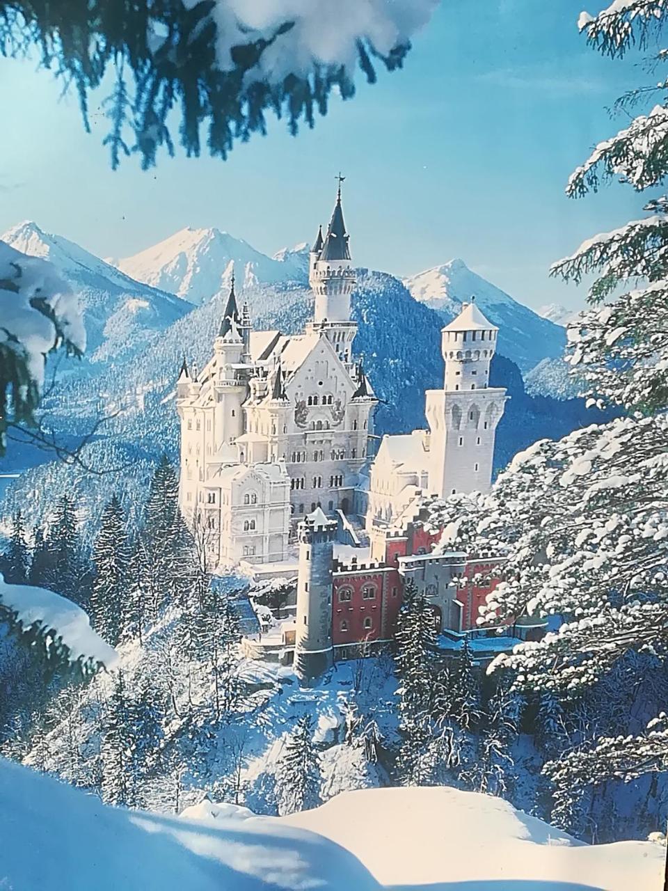 House La Neuschwanstein Blick - Budget City Hotel Füssen المظهر الخارجي الصورة